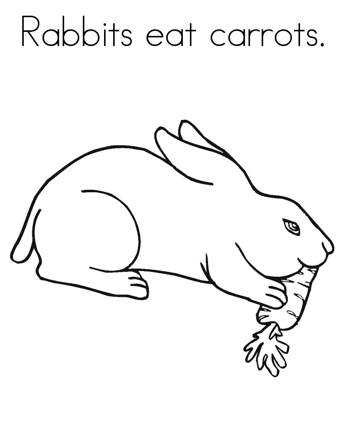 Rabbits Eat Carrots