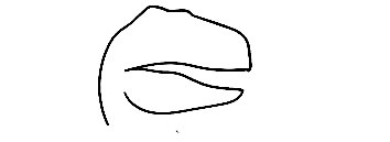 Raptor-Drawing-1
