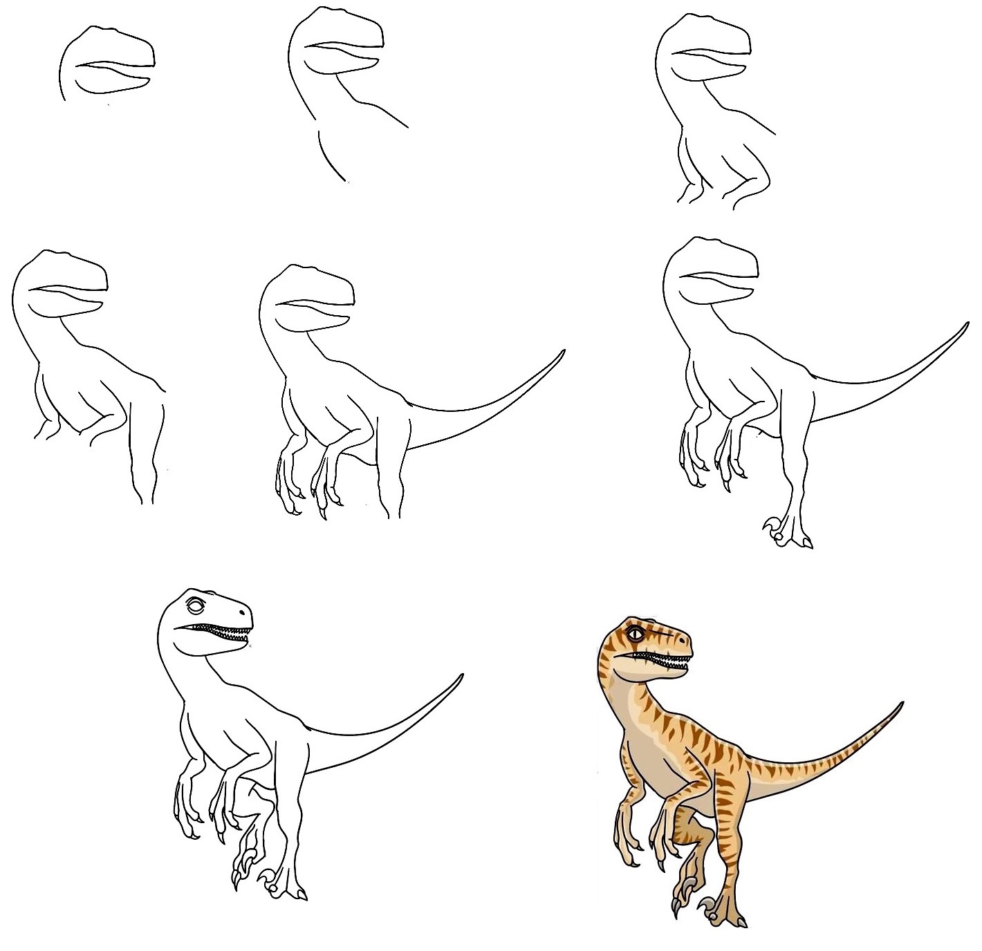 Raptor-Drawing