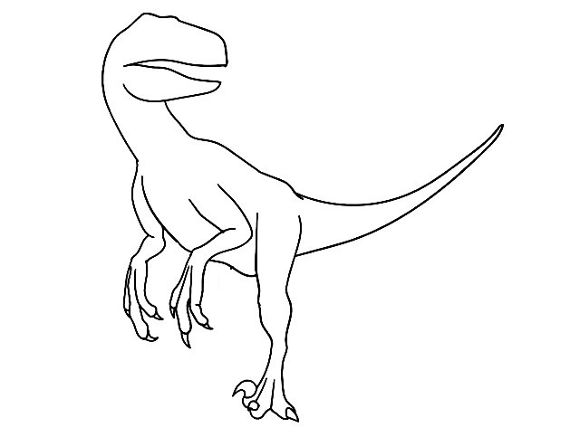 Raptor-Drawing-6