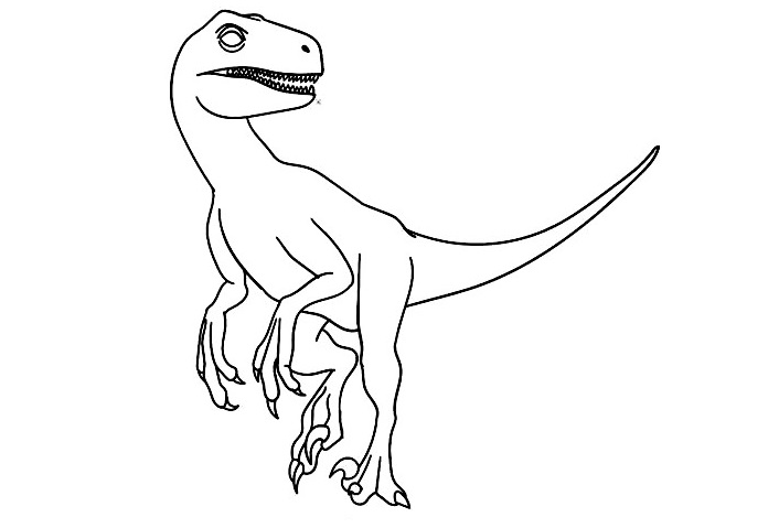 Raptor-Drawing-7