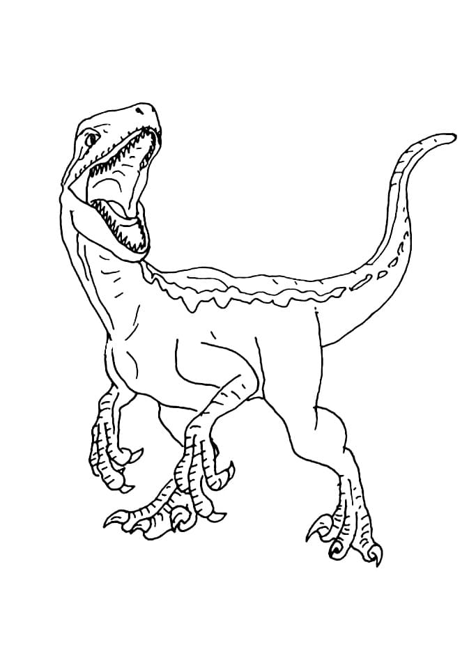 Raptor For Children