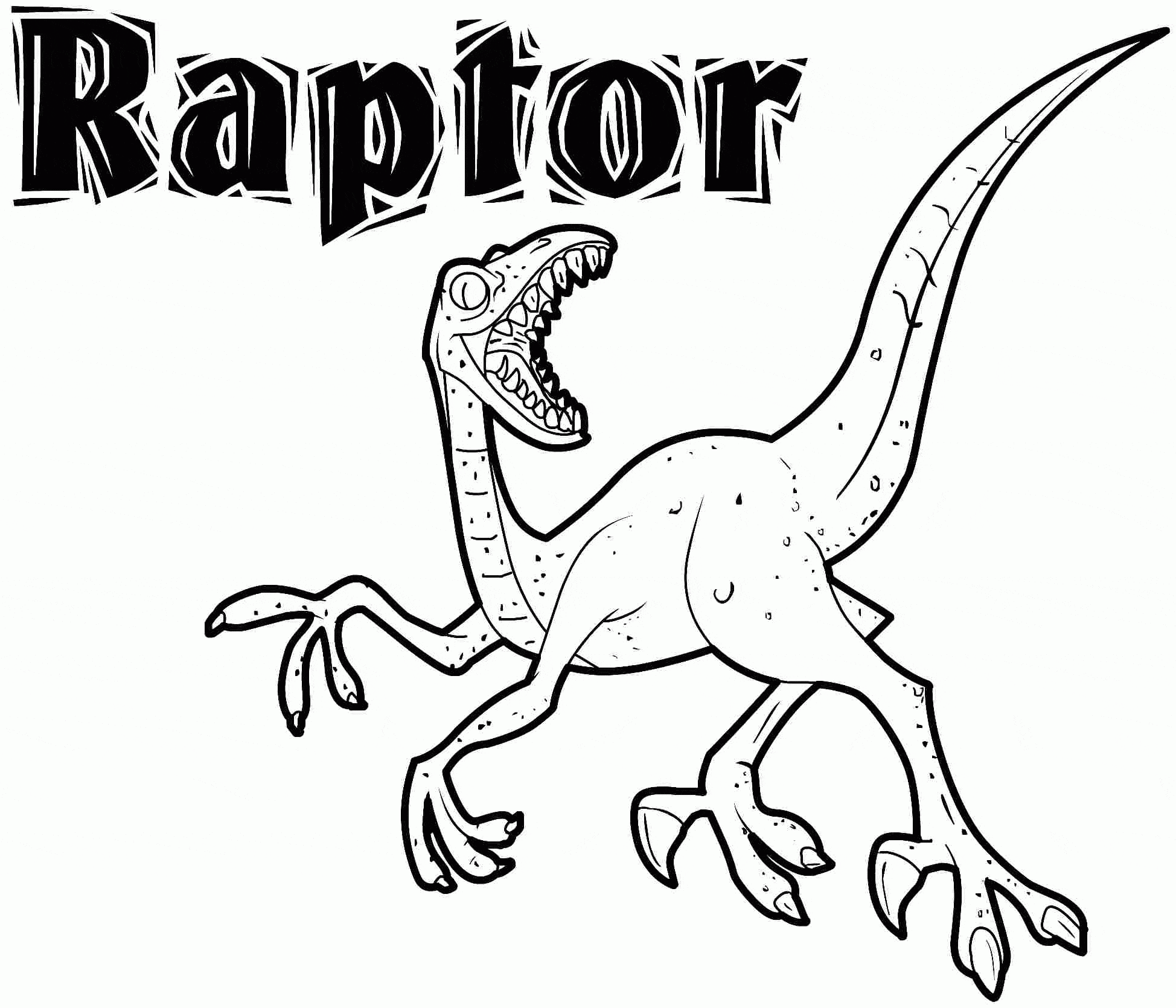 Raptor For Kids Image