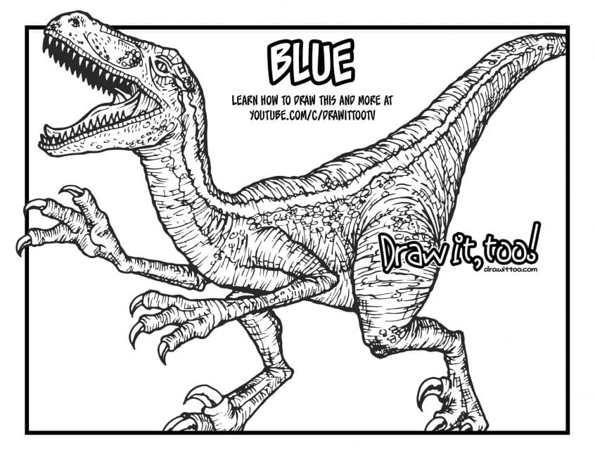 Raptor Image For Children