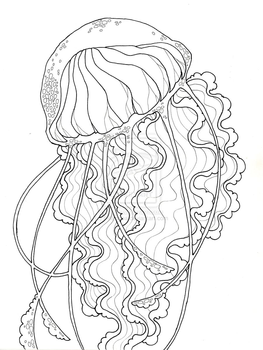 Realistic Jellyfish Image