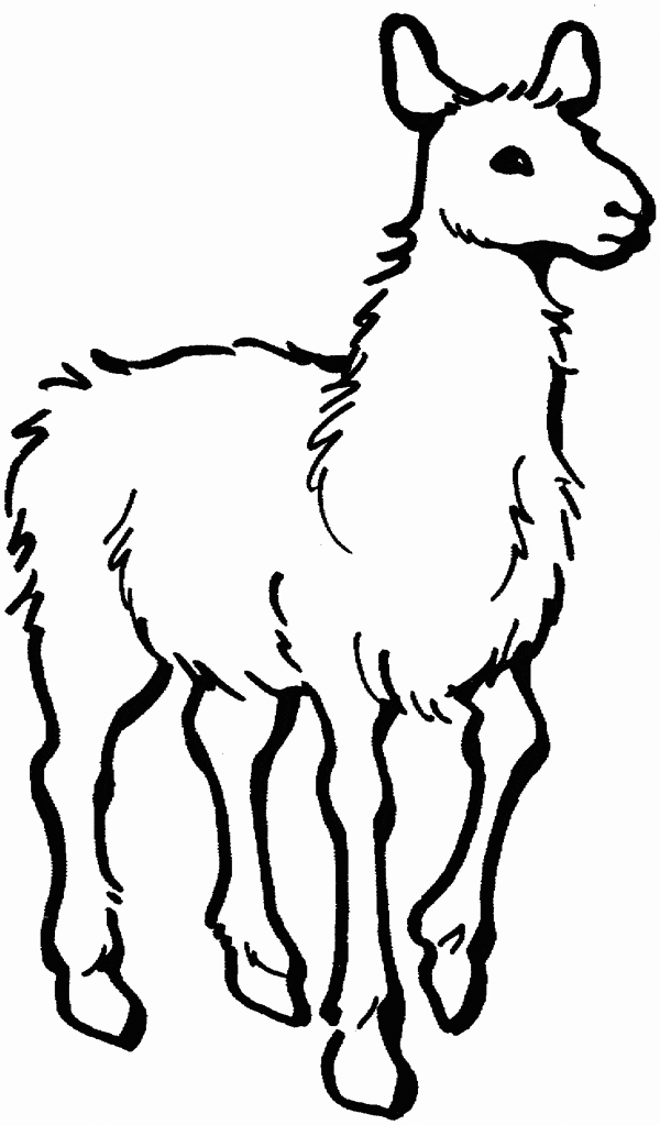 Realistic Llama