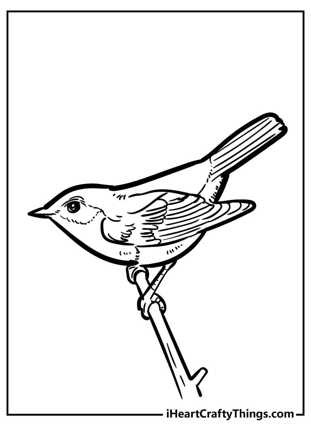 Robin Image For Kids Coloring Page