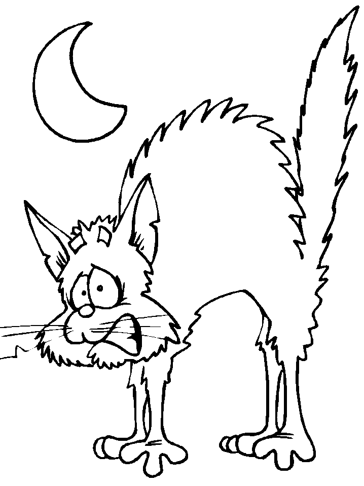 Scared Cat Image For Children