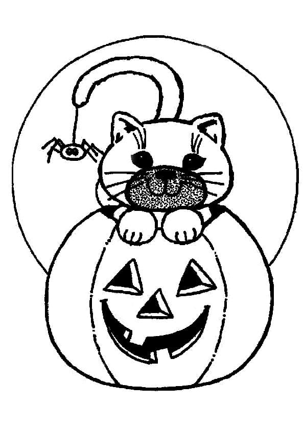 Scary Halloween Small Cat