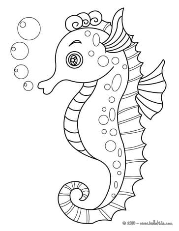 Seahorse Children Coloring Page