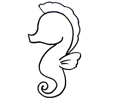 Seahorse-Drawing-5