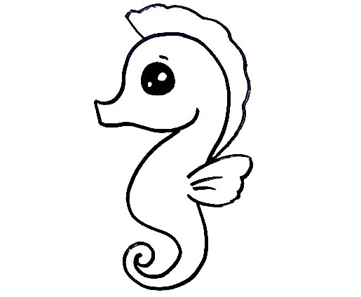 Seahorse-Drawing-6