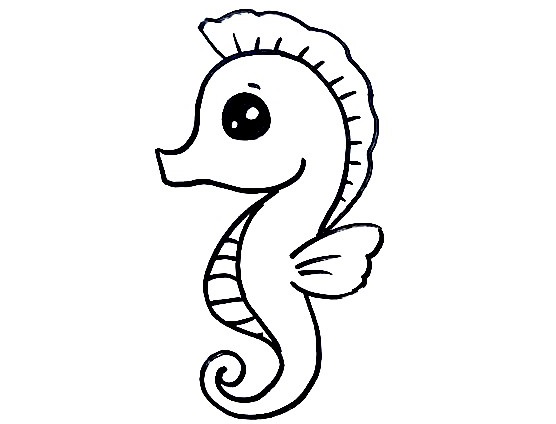 Seahorse-Drawing-7