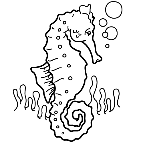 Seahorse For Children Coloring Page