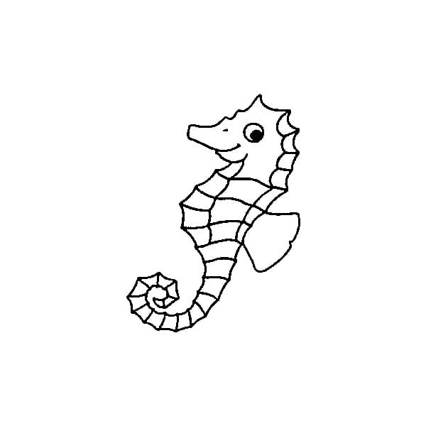 Seahorse Personable For Kids