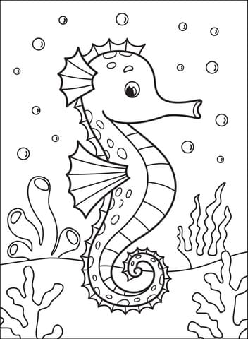 Seahorse Picture For Children