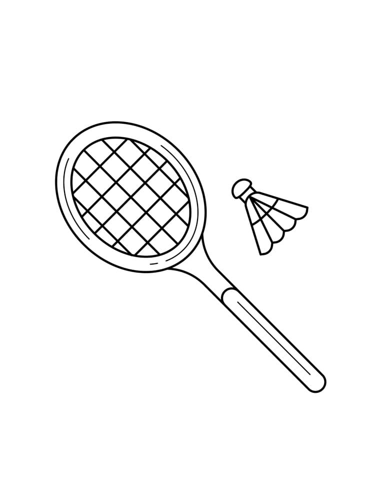 Shuttlecock And Badminton Racket Image