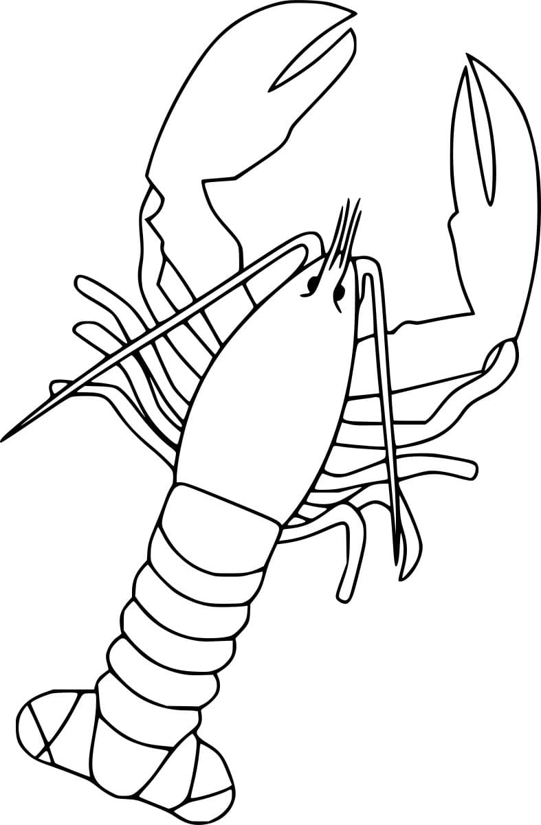 Simple Common Lobster