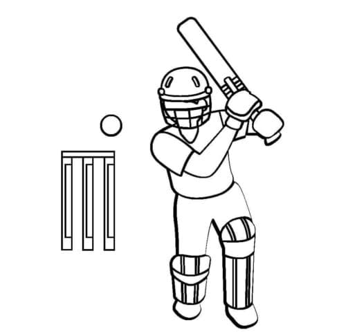 Simple Cricket