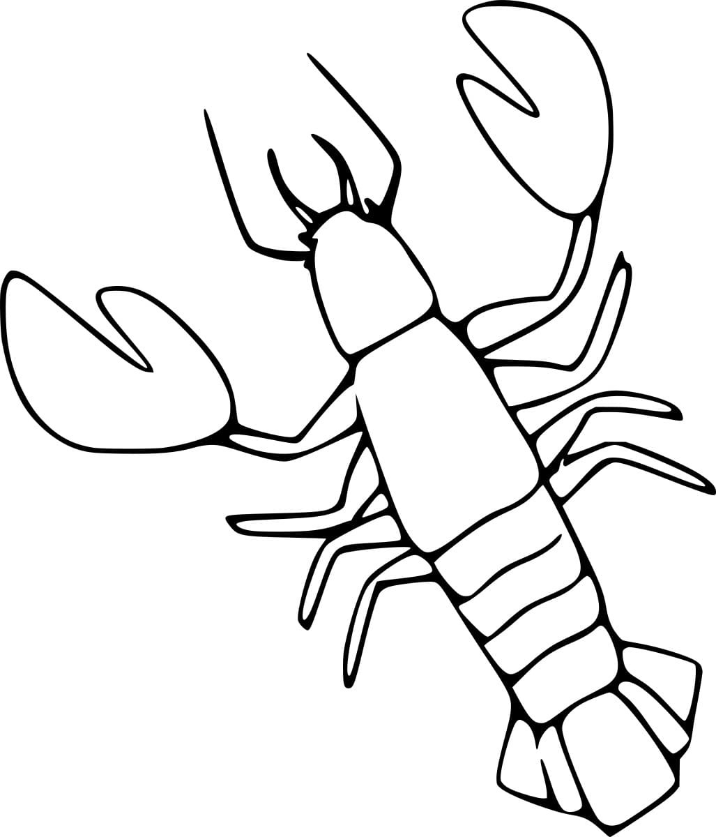 Simple Lobster Outline