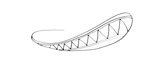 Sombrero-Drawing-2