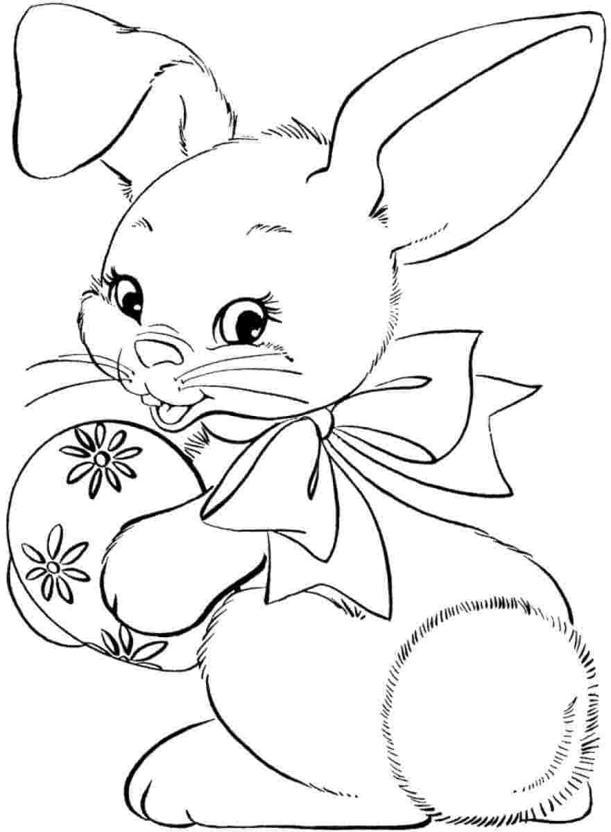 Sweet Bunny Image For Kids