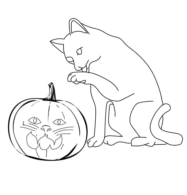 The Cat Pumpkin