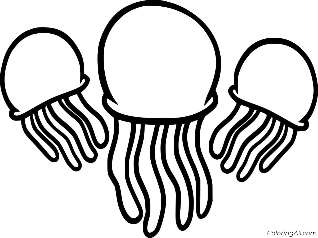 Three Jellyfish Image