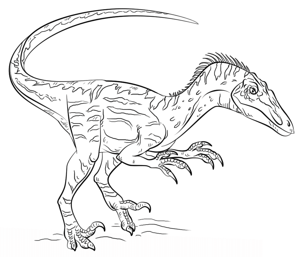 Troodon Raptor