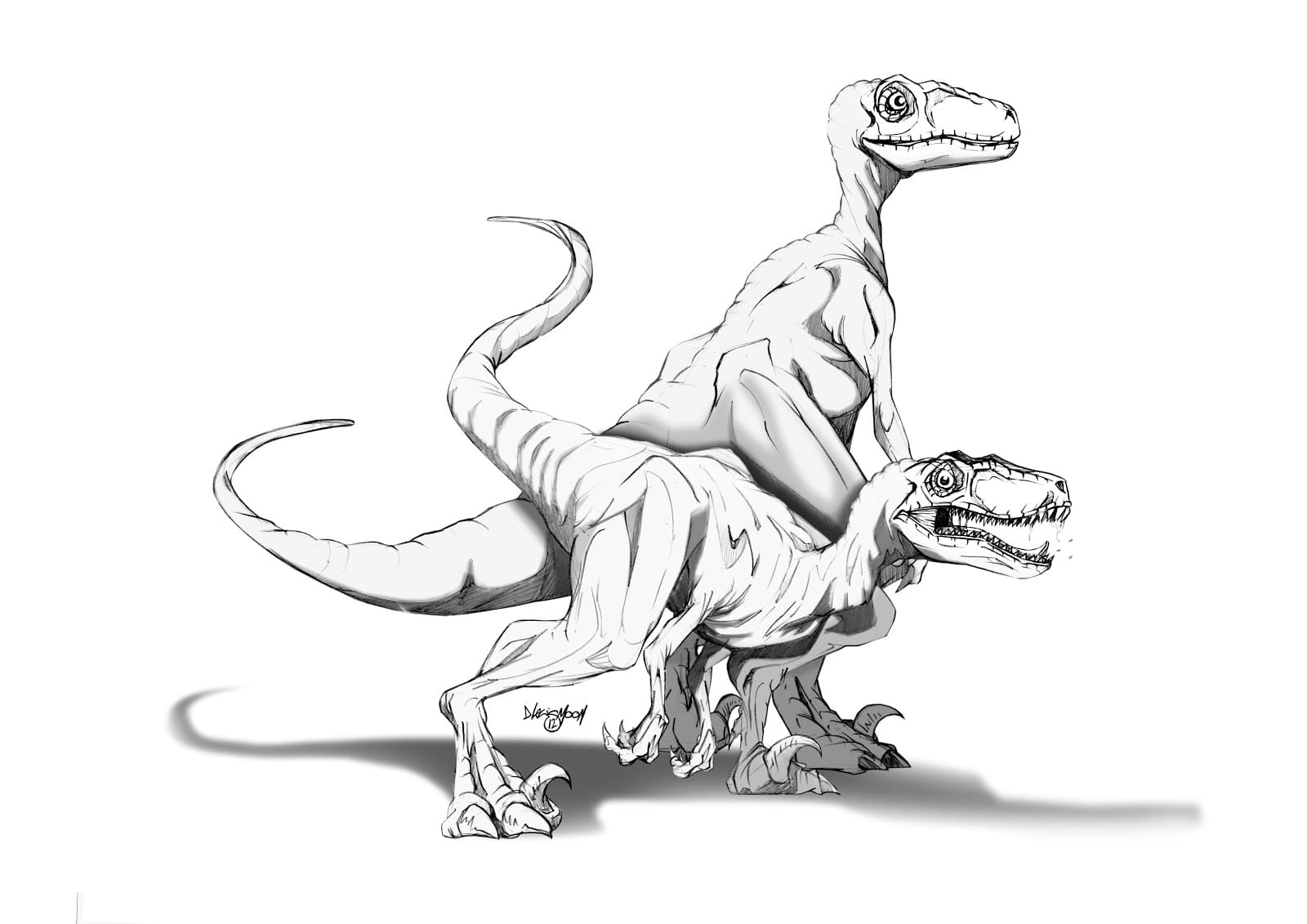 Two Raptor Image