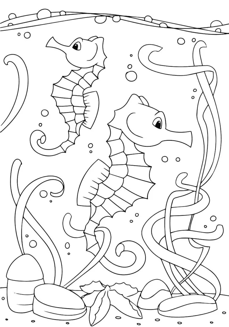 Two Seahorses Swimming Back To Back With Each Other