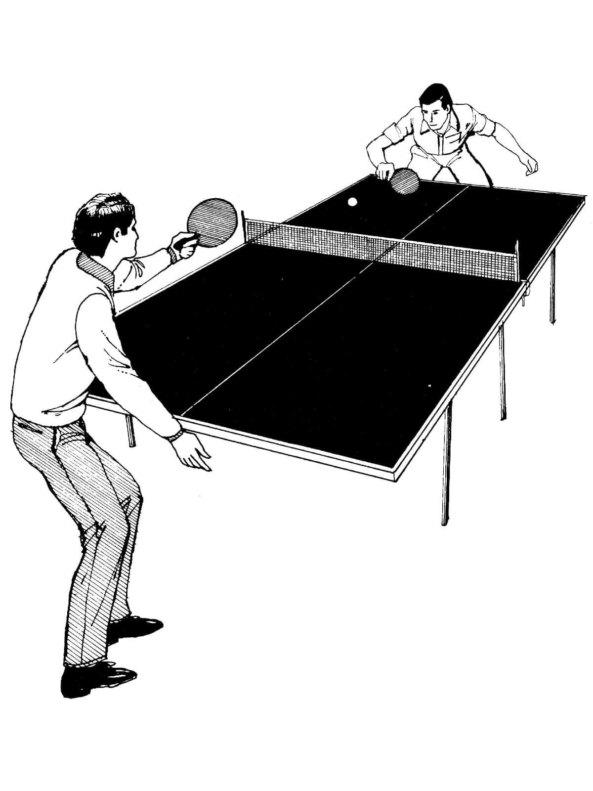 A Game Of Ping Pong Image