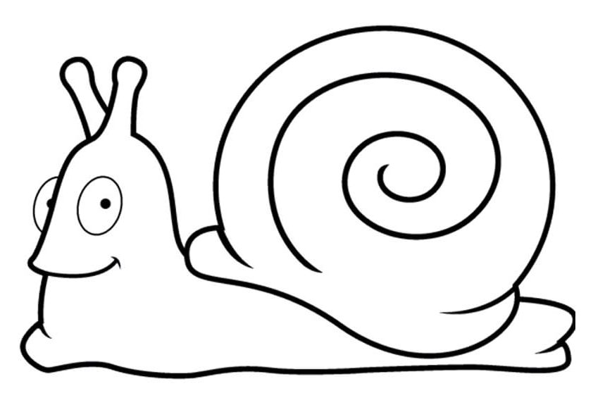 A Snail In The Shell Coloring Page