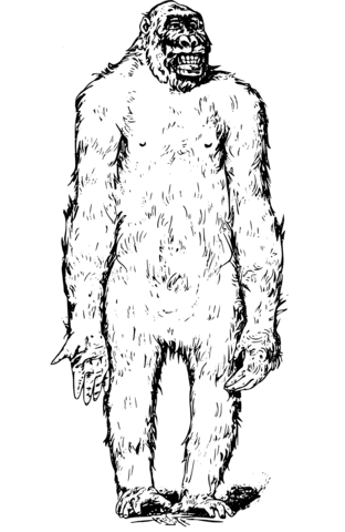 Apeman Image For Kids Coloring Page