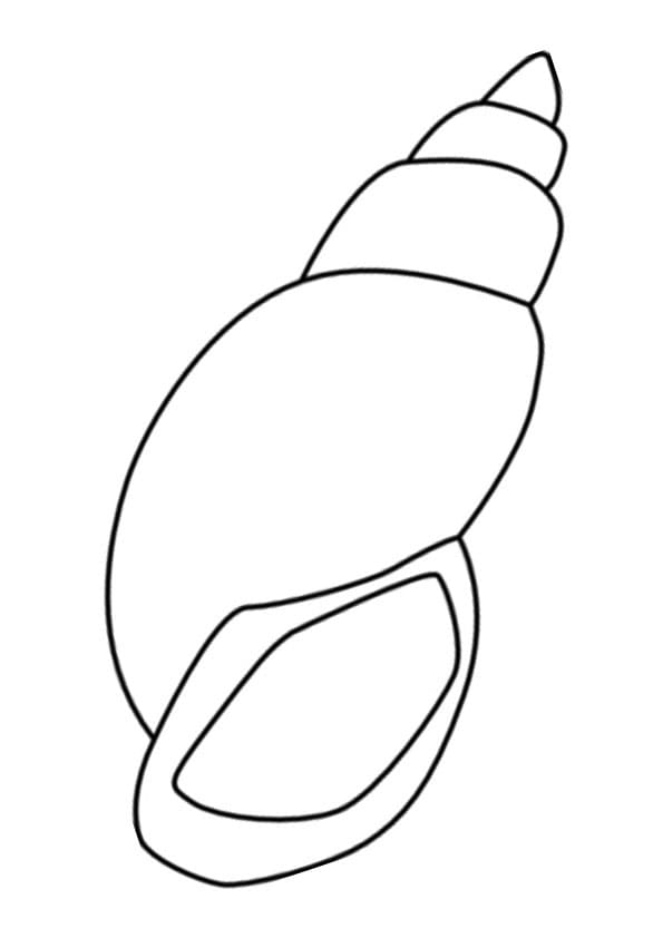 Blowing Seashell Coloring Page