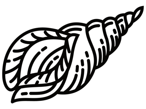 Clam For Children Coloring Page