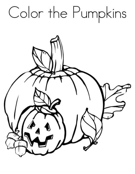 Color The Pumpkins Drawing Coloring Page