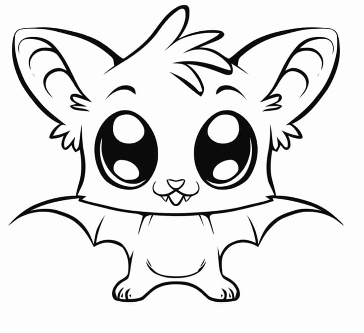 Cute Animal Bat Image For Kids Coloring Page