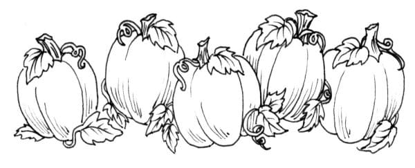 Cute Pumpkin Patch Image Coloring Page
