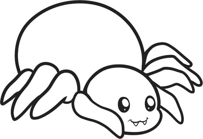 Cute Spider Image For Kids Coloring Page