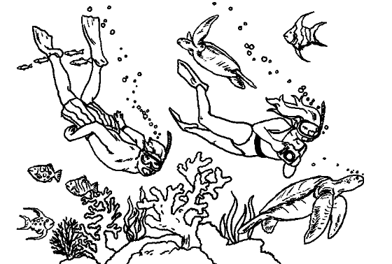 Divers Bottom Sea Coloring Page