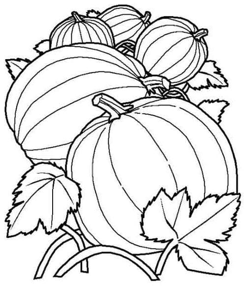 Fall Pumpkin Image For children