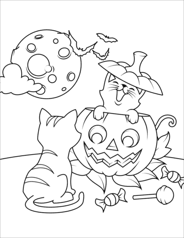 Halloween Cats and Jack O’Lantern Image