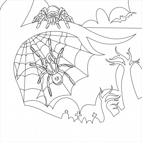 Halloween Spider Cute Coloring Page