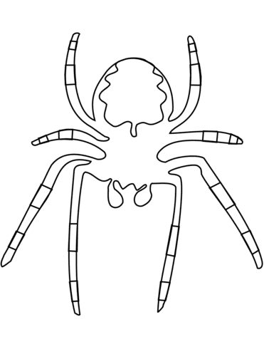 Halloween Spider Image For Children