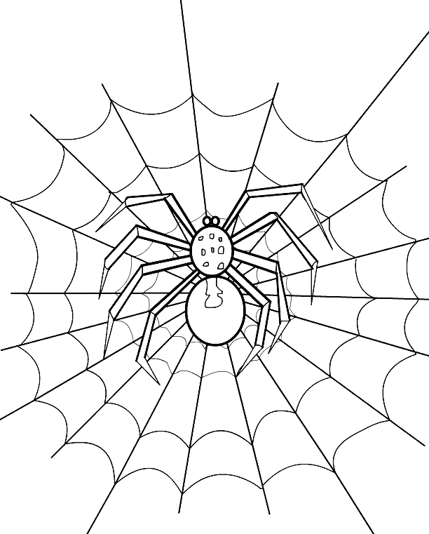 Halloween Spider Sweet Image For Children