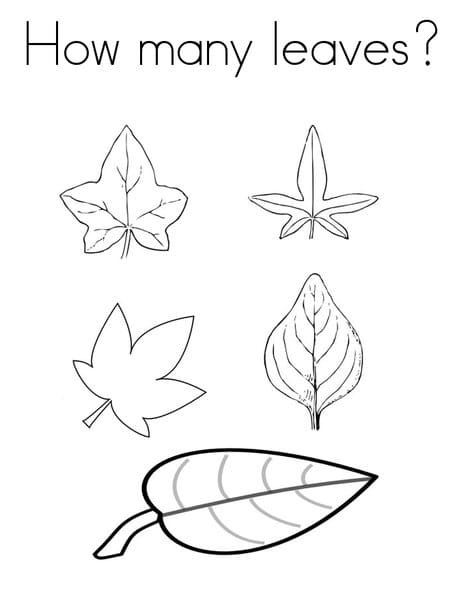 How Many Leaves Image For Kids Coloring Page