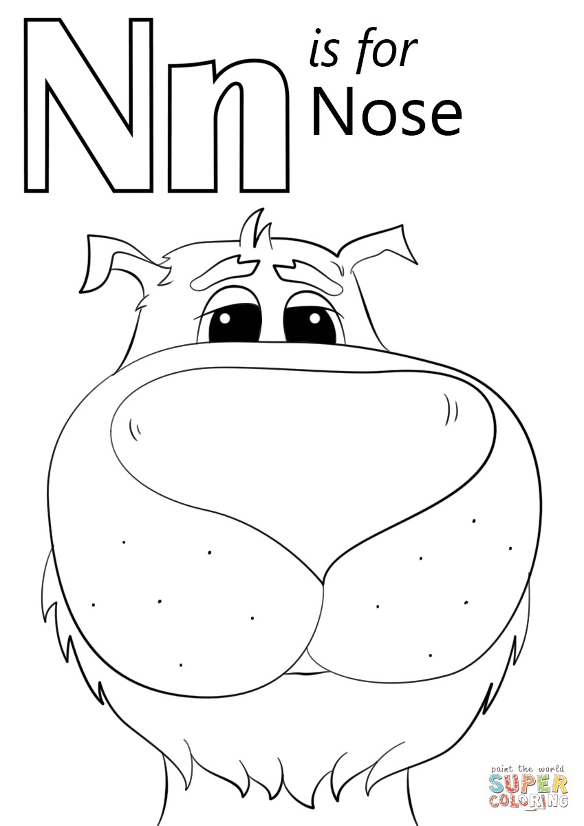 N is For Nose