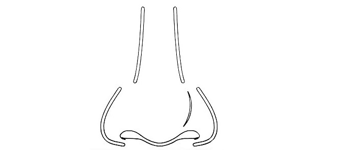Nose-Drawing-7