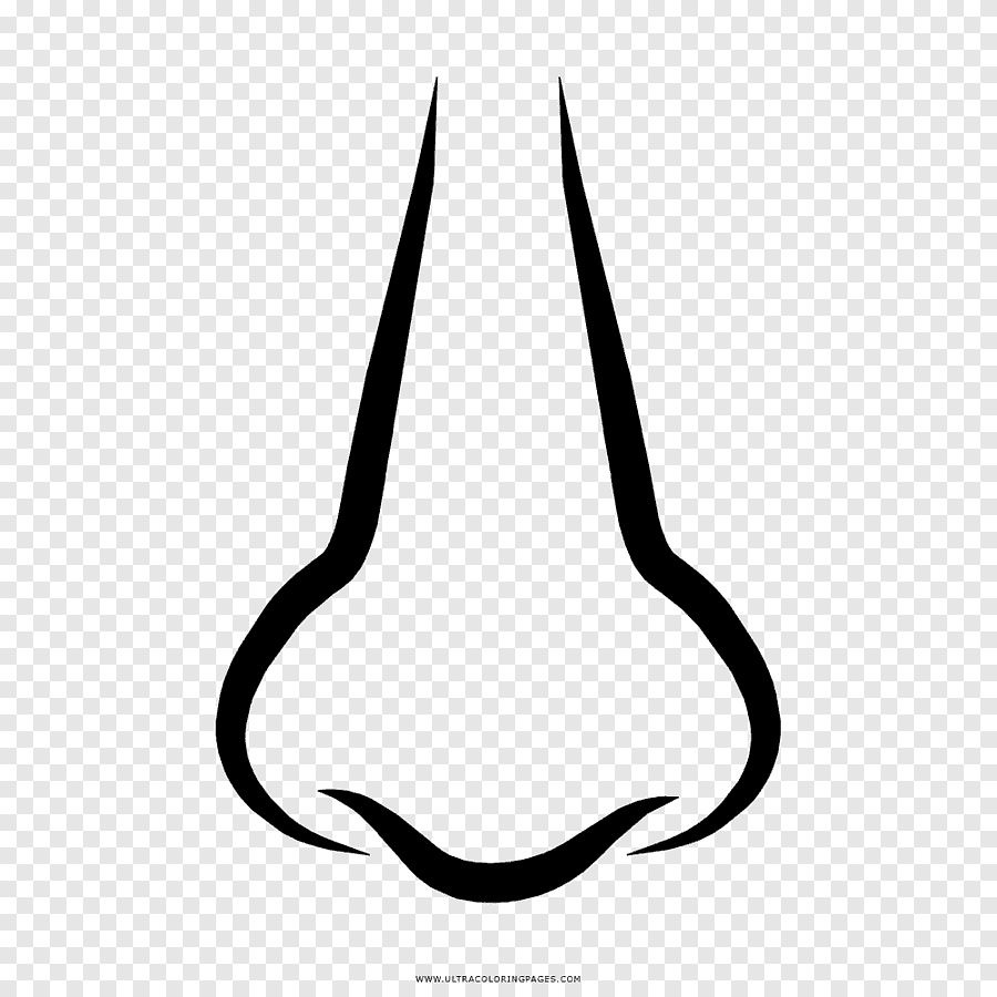 Nose Picture Clipart